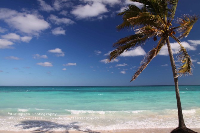 6266435259_157c3a29d0_b