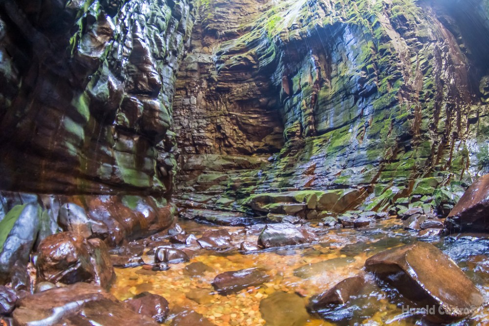 20251021716_2f2e7ac6dc_b