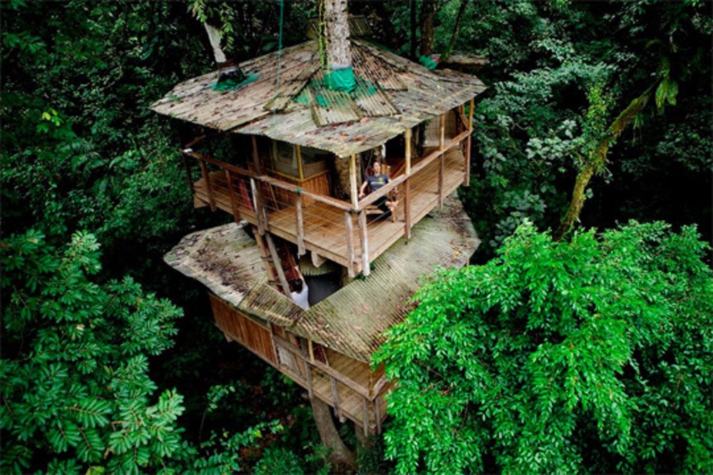 9f26167a4cdc5018cada4a4d29e01d61