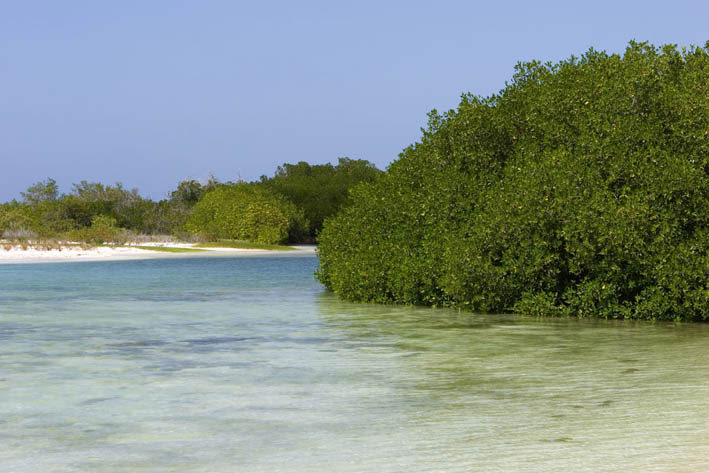 Foto: Costadevenezuela