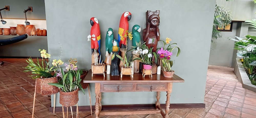 Campamento Canaima_orquideas_foto ligia 13.JPG