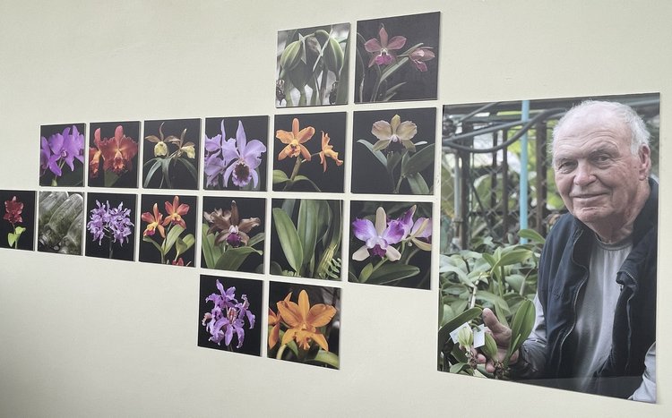 Campamento Canaima_Henrique Graf_orquideas_foto ligia velasquez.jpg